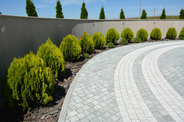 Best Driveway Paving Contractor  in Hamburg, PA